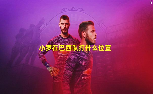 小罗在巴西队打什么位置