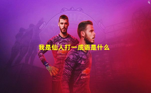 我是仙人打一成语是什么