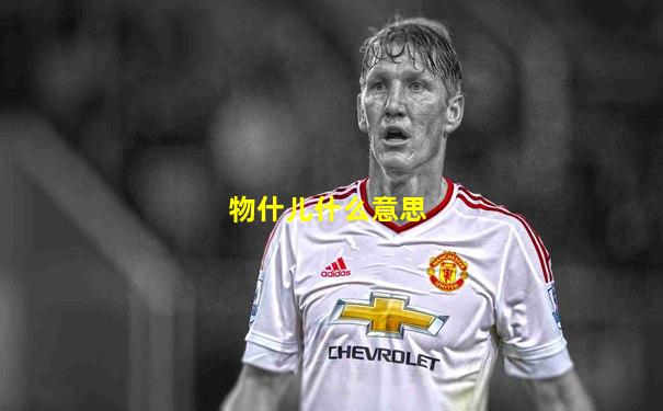 物什儿什么意思