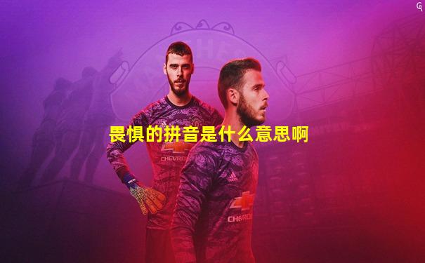 畏惧的拼音是什么意思啊