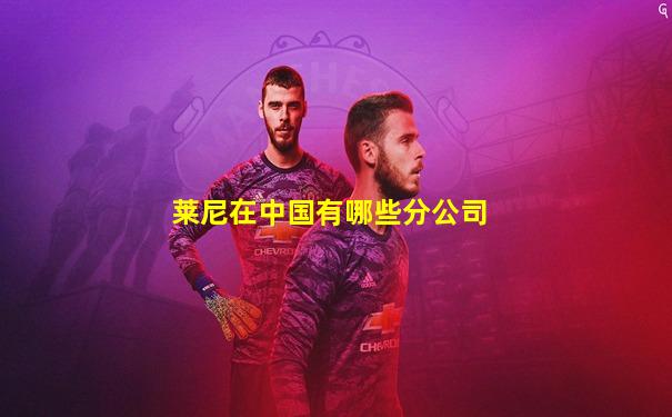莱尼在中国有哪些分公司